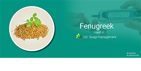 Fenugreek Helps To Combat Diabetes
