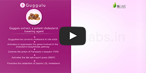 Watch, how Guggulu helps in controlling bad cholesterol in body.