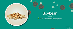 Soybean Extract Helps in the Management of Cholesterol Levels
